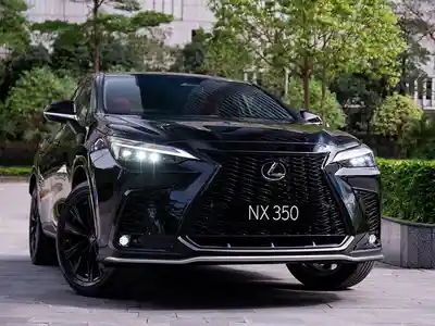 Xe 21 lexus-nx-350-f-sport-2548350j33132x16