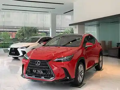 Xe 20 lexus-nx-350h-2548356j33132x16