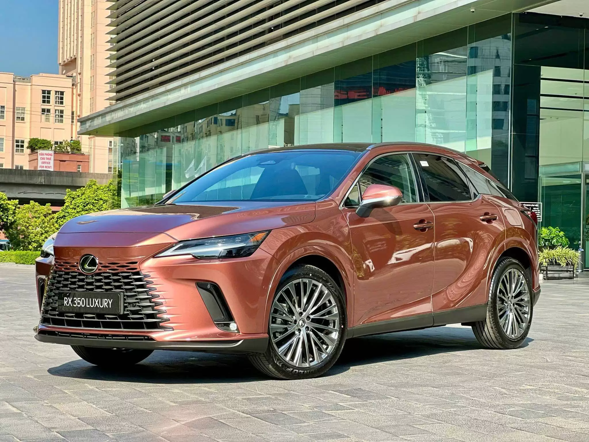 Xe 18 Lexus RX350h Luxury 2025 ( Máy xăng 2.5L Lai Điện )