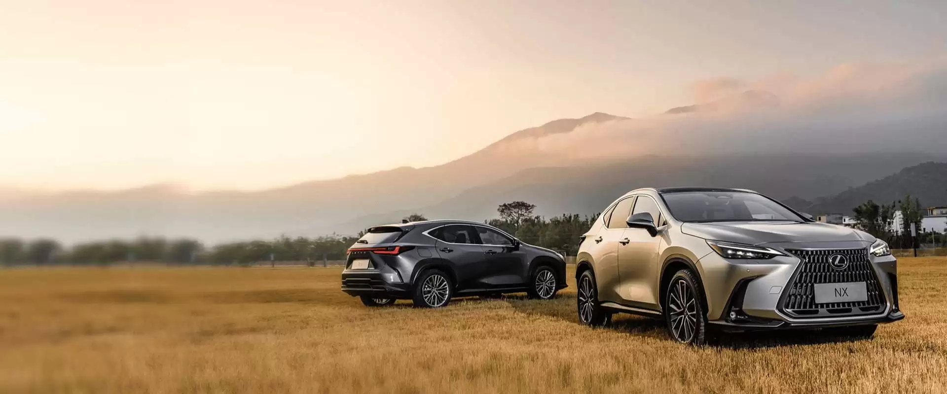 Trang chủ 30 lexusphamhung-vn